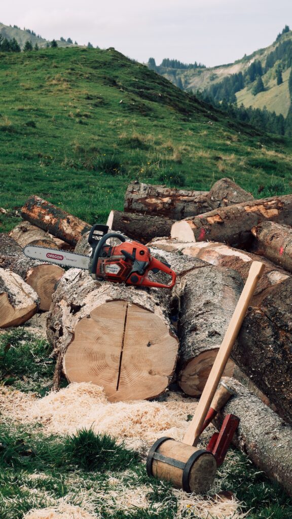 Can I Use A Chainsaw For Tree Pruning?